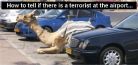 Terrorist on Airport
   terrorist airport camel