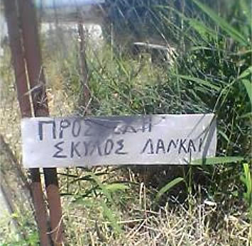 Δανκάι δικός σου σκύλος;
Ο δικός μου μόνο γαβγάι
Δανκάι δικός σου σκύλος;
Ο δικός μου μόνο γαβγάι