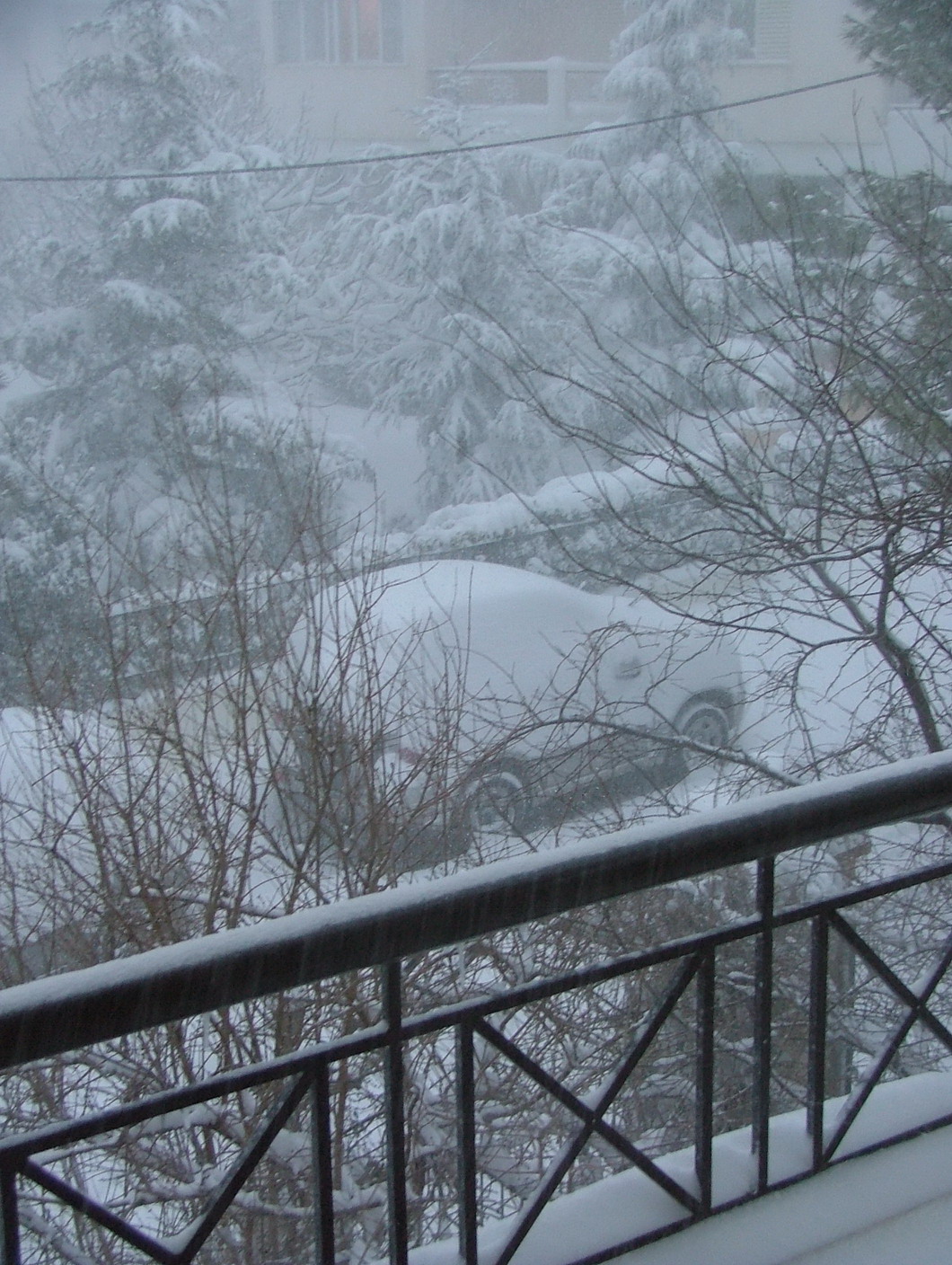 ������ - ��������