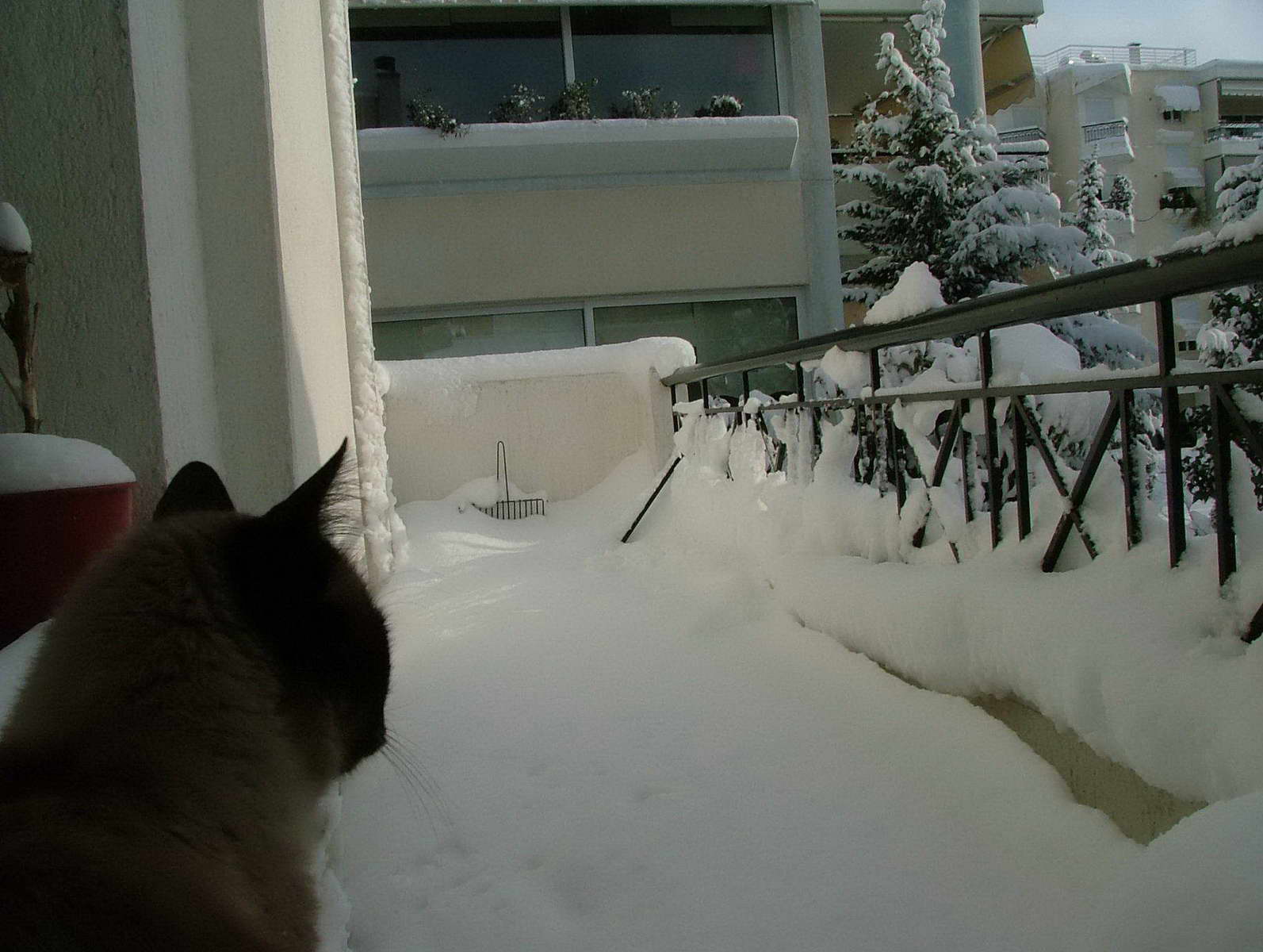 ������ ��� ����� ��� �������� 2008