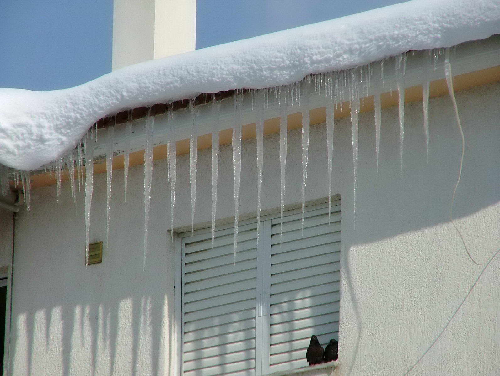 ����� - �������� - 2008