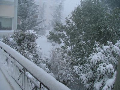 Click για να την δείτε σε μεγάλο μέγεθος
==============
Μελίσσια
από το μπαλκόνι του studio
Click για να την δείτε σε μεγάλο μέγεθος
==============
Μελίσσια
από το μπαλκόνι του studio