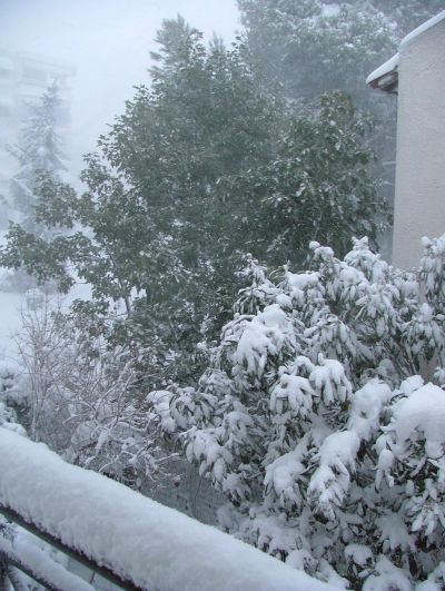 Click για να την δείτε σε μεγάλο μέγεθος
==============
Μελίσσια
άλλη μια άποψη από το ίδιο μπαλκόνι..
Click για να την δείτε σε μεγάλο μέγεθος
==============
Μελίσσια
άλλη μια άποψη από το ίδιο μπαλκόνι..