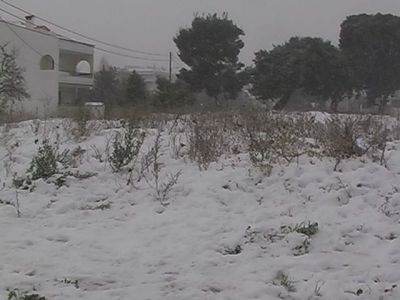 Click για να την δείτε σε μεγάλο μέγεθος
==============
Βριλήσια
Βρηλίσια στα χιόνια.. Δεκάδες σπουργίτια έχουν κουρνιάσει στα πουρνάρια της αλάνας ψάχνοντας λίγη προστασία απο το χιόνι και την αποφυγή της άμεσης επαφής με το χιόνι
Λέξεις Κλειδιά: Μελίσσια Βριλήσια Click για να την δείτε σε μεγάλο μέγεθος
==============
Βριλήσια
Βρηλίσια στα χιόνια.. Δεκάδες σπουργίτια έχουν κουρνιάσει στα πουρνάρια της αλάνας ψάχνοντας λίγη προστασία απο το χιόνι και την αποφυγή της άμεσης επαφής με το χιόνι
Λέξεις Κλειδιά: Μελίσσια Βριλήσια