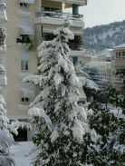 Χιονια στα μελίσσια 2008
Χιονια στα μελίσσια 2008 Χιονια στα μελίσσια 2008
Χιονια στα μελίσσια 2008