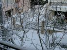 Χιόνι - Μελίσσια - 2008 Χιόνι - Μελίσσια - 2008