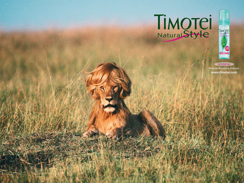 Timotei Natural Style
