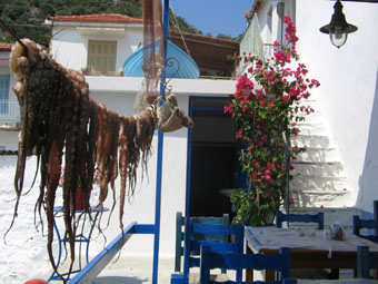 Τσιπουράδικο - Τρίκερι
Τσιπουράδικο στο Τρίκερι... ένα απο τα ψαροχώρια του Πηλίου
Λέξεις Κλειδιά: Τσιπουράδικο Τρίκερι Τσιπουράδικο - Τρίκερι
Τσιπουράδικο στο Τρίκερι... ένα απο τα ψαροχώρια του Πηλίου
Λέξεις Κλειδιά: Τσιπουράδικο Τρίκερι
