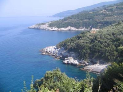 Click για να την δείτε σε μεγάλο μέγεθος
==============
ελευθερο καμπινγκ
στο 2ο κολπισκο καναμε ελευθερο καμπινγκ... προσβαση μονο με σκαφος
Click για να την δείτε σε μεγάλο μέγεθος
==============
ελευθερο καμπινγκ
στο 2ο κολπισκο καναμε ελευθερο καμπινγκ... προσβαση μονο με σκαφος