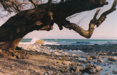 Click για να την δείτε σε μεγάλο μέγεθος
==============
Παραλία ρακοπόταμος - Βελίκα
Παραλία ρακοπόταμος στη Βελίκα... εκεί κάνουμε free camping
Λέξεις Κλειδιά: ρακοπόταμος Βελίκα Click για να την δείτε σε μεγάλο μέγεθος
==============
Παραλία ρακοπόταμος - Βελίκα
Παραλία ρακοπόταμος στη Βελίκα... εκεί κάνουμε free camping
Λέξεις Κλειδιά: ρακοπόταμος Βελίκα