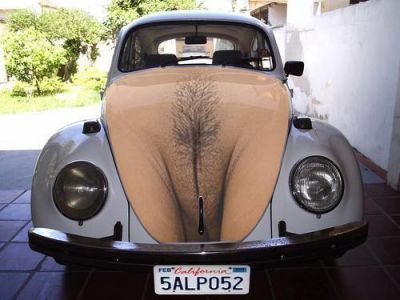 Click       
 ============== 
evapsa to amaksi mou
   ,    ...
 : beattle vw car paint