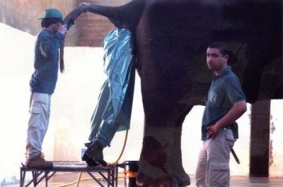 Click ��� �� ��� ����� �� ������ �������
 ============== 
H ��������� ������� ���� �����
...� ����, ���� ��������� ����...
������ �������: dirty job elephant