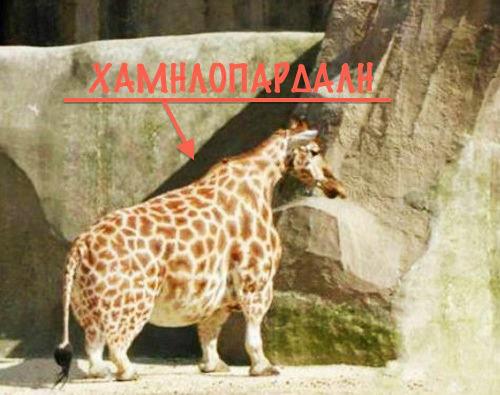 �������������