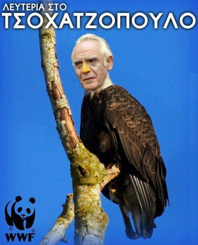 Click για να την δείτε σε μεγάλο μέγεθος
==============
Λευτεριά στο Τσοχατζόπουλο
Λευτεριά στο Τσοχατζόπουλο
Λέξεις Κλειδιά: Πουλι τσοχατζόπουλος τσοχατζοπούλι τσοχατζόπουλο Click για να την δείτε σε μεγάλο μέγεθος
==============
Λευτεριά στο Τσοχατζόπουλο
Λευτεριά στο Τσοχατζόπουλο
Λέξεις Κλειδιά: Πουλι τσοχατζόπουλος τσοχατζοπούλι τσοχατζόπουλο