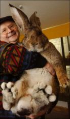Didn't you get your choc eggs; Didn't you get your choc eggs;