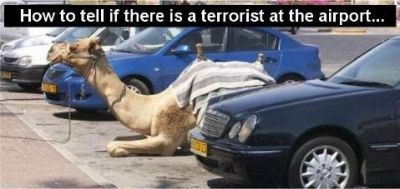 Click       
 ============== 
Terrorist on Airport
        !
 :    terrorist airport camel