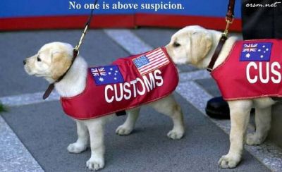 Click       
 ============== 
 
    ...
 : custom dogs