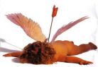 Cupid is Dead
Dead Cupid ������ ������ ����