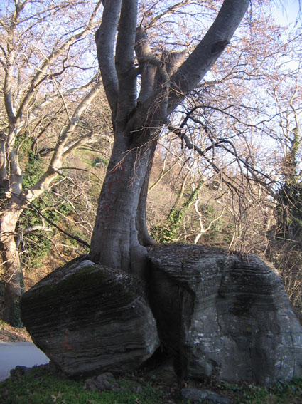 �� �������� ���� ��� ��� �����...��� ���������� �����