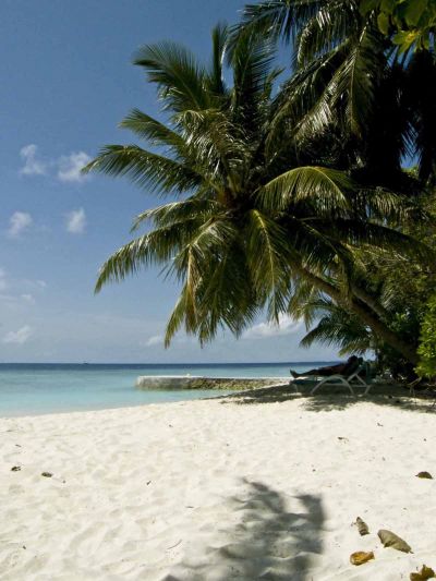 Click       
 ============== 
    
     .      (    )
 : Maldives Bandos  