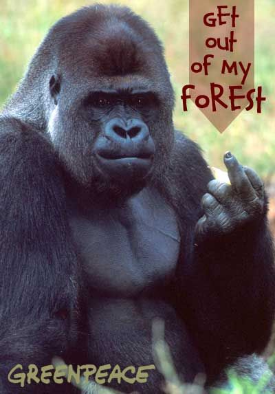 Oi Gorilles epanastatoun!!!
become a Greenpeace cyber activist - http://act.greenpeace.org/index_html
 : Greenpeace