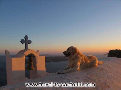 Click για να την δείτε σε μεγάλο μέγεθος
==============
Ernesto
O Ernesto είναι ίσως ο πιο γνωστός περιπατητής στην Σαντορίνη
Λέξεις Κλειδιά: Ernesto Σαντορίνη Santorini Thira Θήρα Click για να την δείτε σε μεγάλο μέγεθος
==============
Ernesto
O Ernesto είναι ίσως ο πιο γνωστός περιπατητής στην Σαντορίνη
Λέξεις Κλειδιά: Ernesto Σαντορίνη Santorini Thira Θήρα